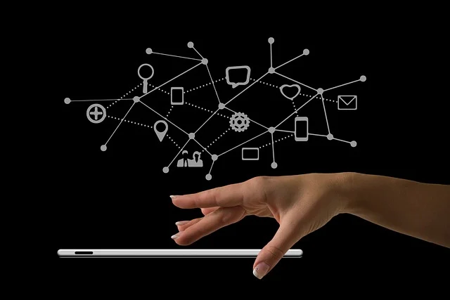 Digital Ecosystem Example